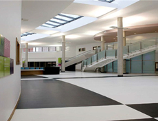 寫字樓用pvc地板膠工程案例