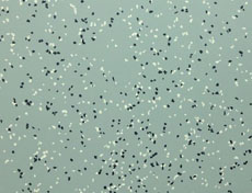 橡膠地板卷材  樣板申請